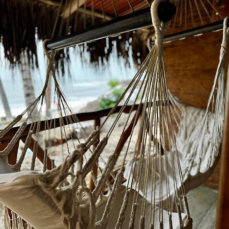 Palmario Hostal Guachaca エクステリア 写真