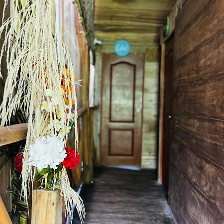 Palmario Hostal Guachaca エクステリア 写真