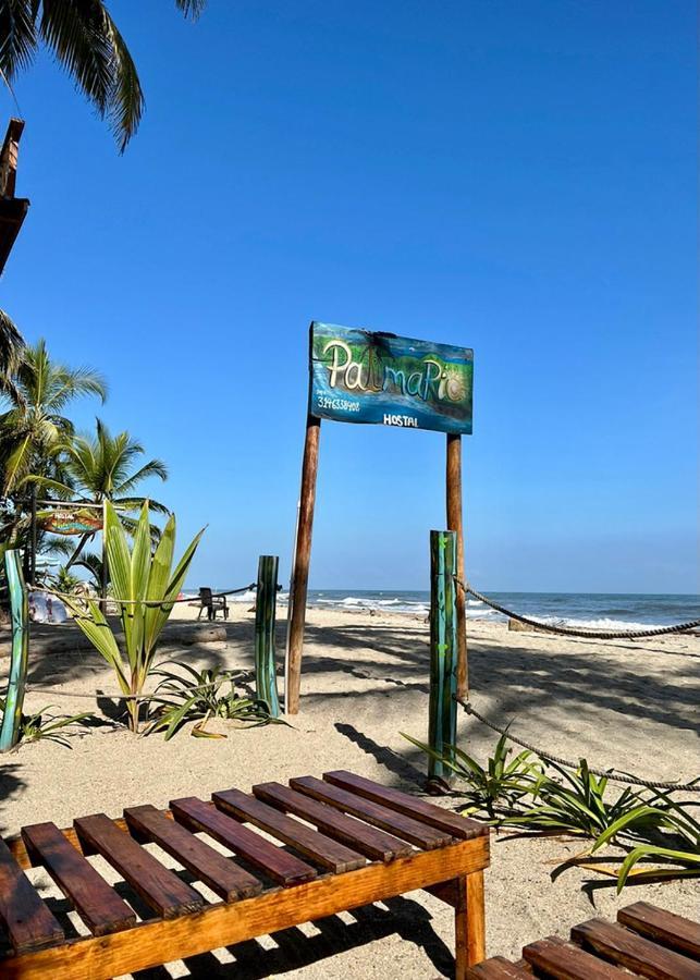 Palmario Hostal Guachaca エクステリア 写真