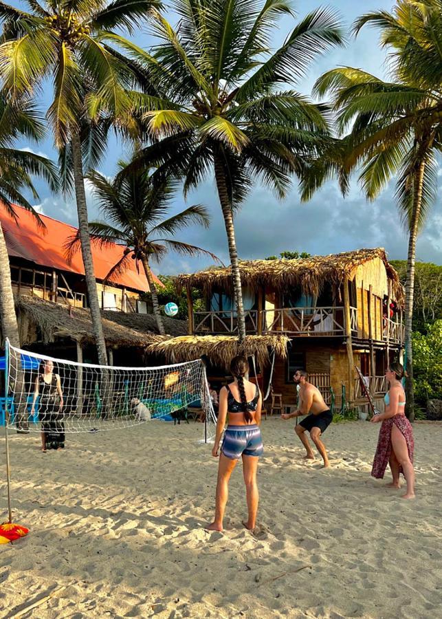 Palmario Hostal Guachaca エクステリア 写真