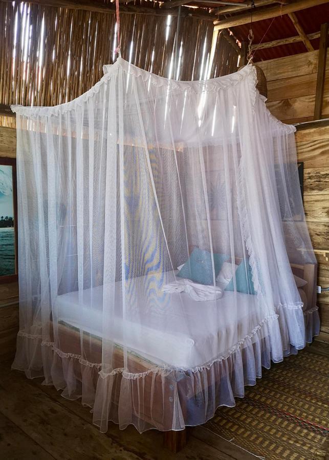 Palmario Hostal Guachaca エクステリア 写真