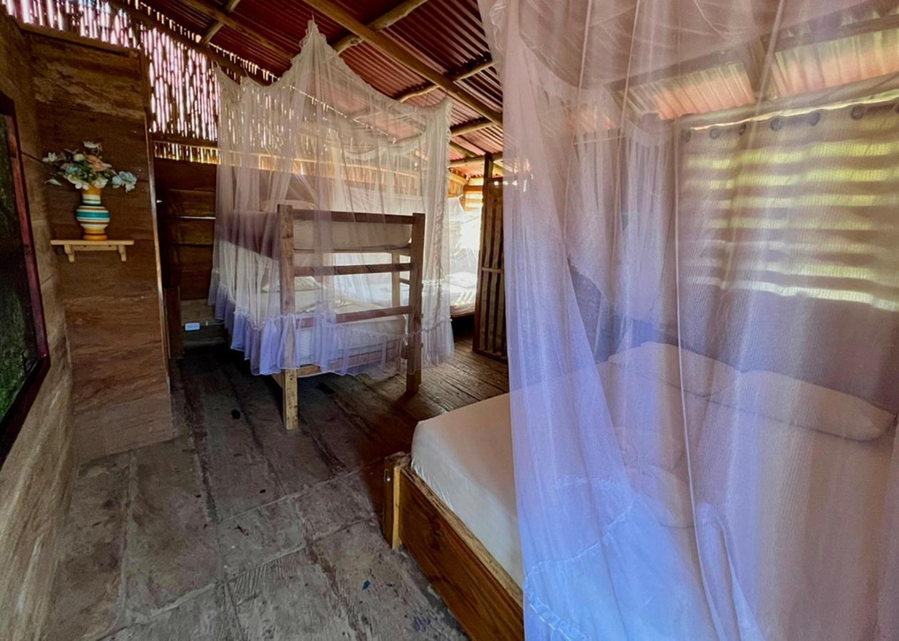 Palmario Hostal Guachaca エクステリア 写真