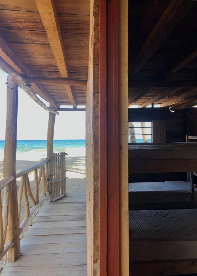 Palmario Hostal Guachaca エクステリア 写真