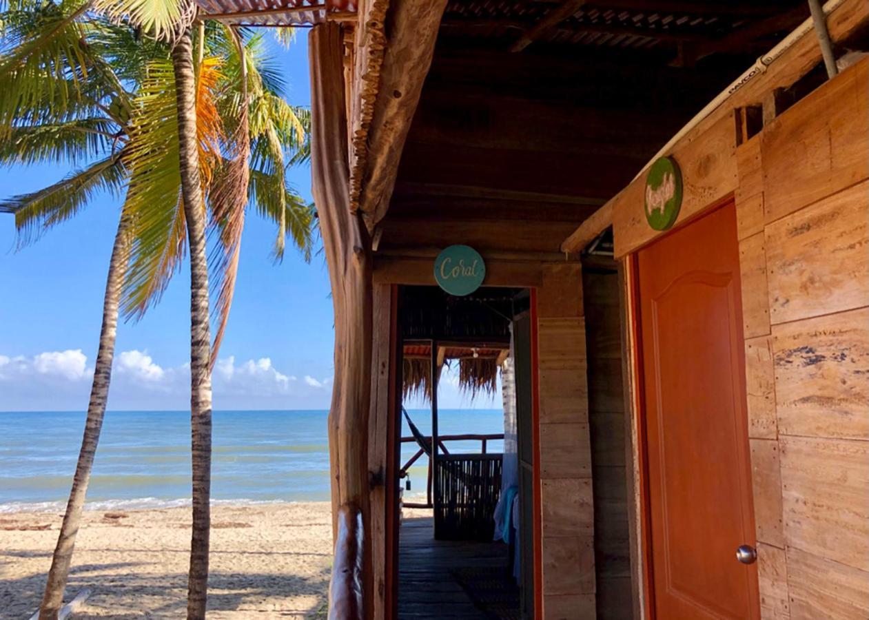 Palmario Hostal Guachaca エクステリア 写真