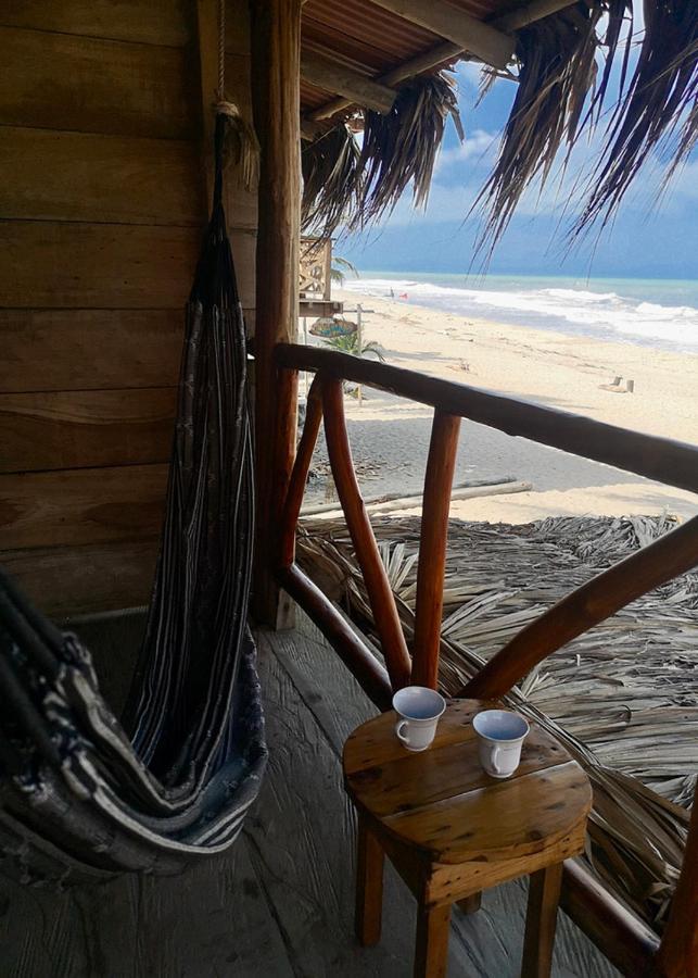 Palmario Hostal Guachaca エクステリア 写真