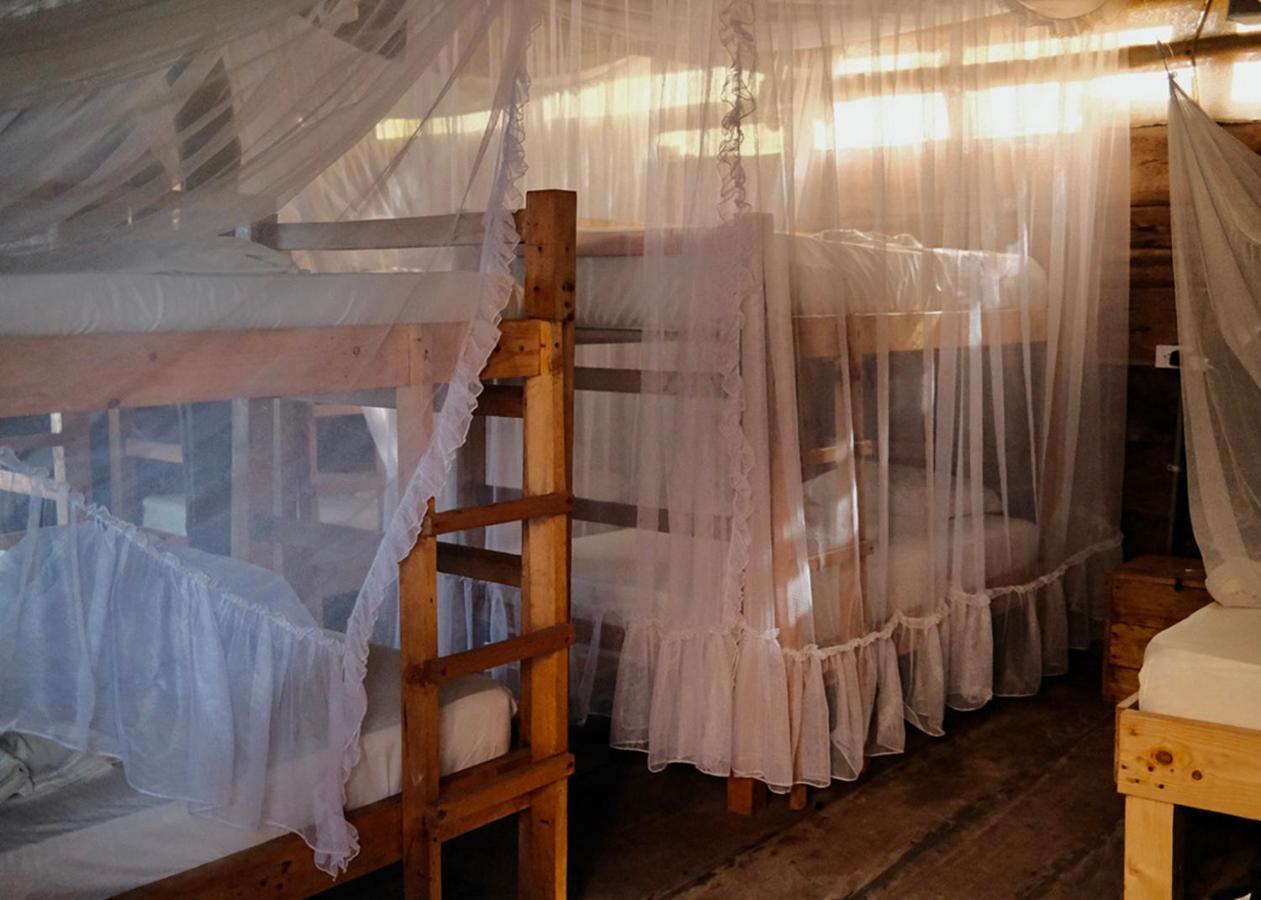 Palmario Hostal Guachaca エクステリア 写真