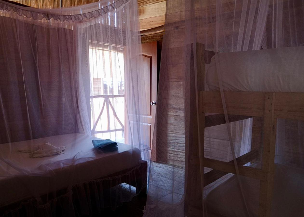 Palmario Hostal Guachaca エクステリア 写真