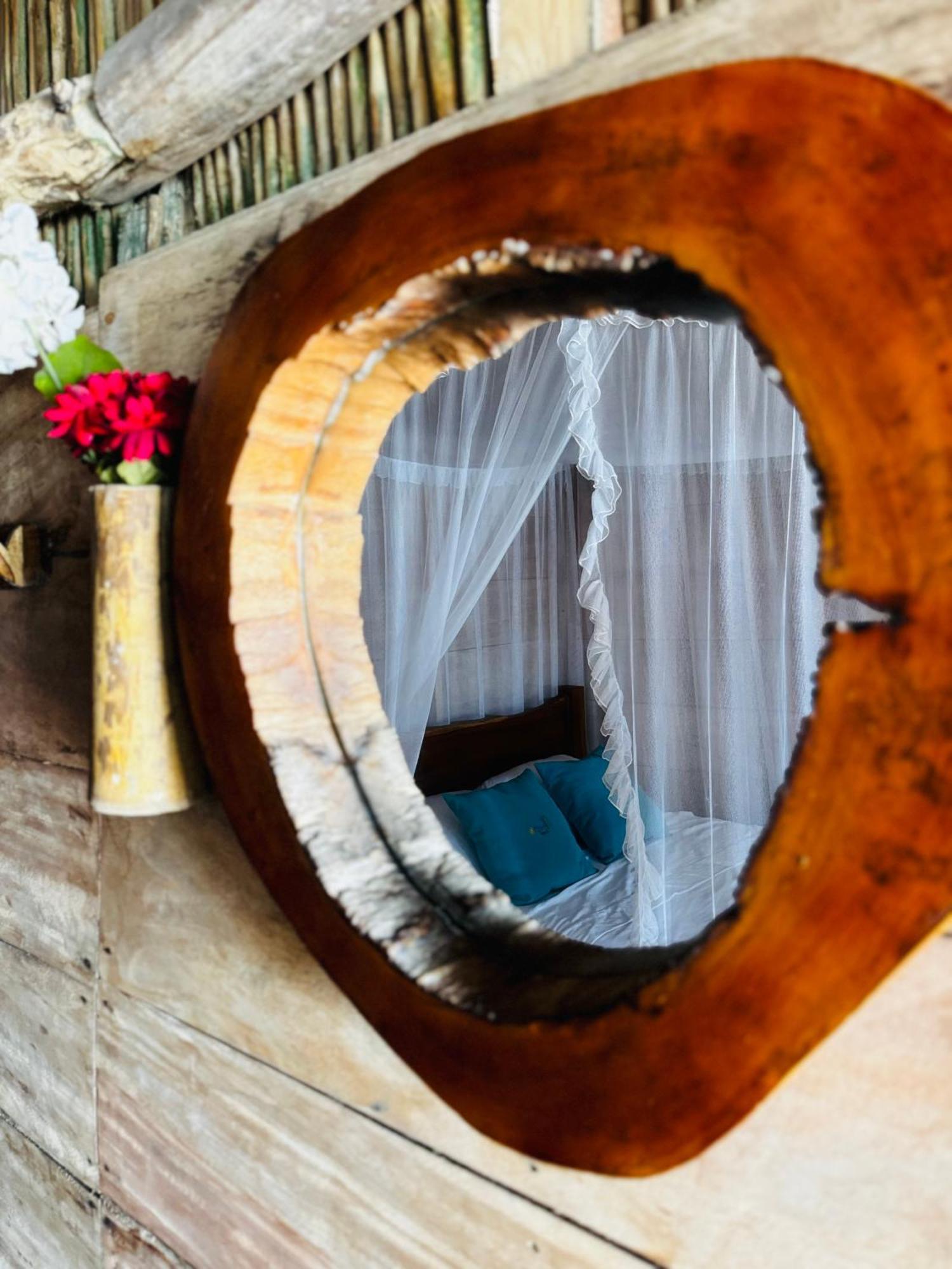 Palmario Hostal Guachaca エクステリア 写真