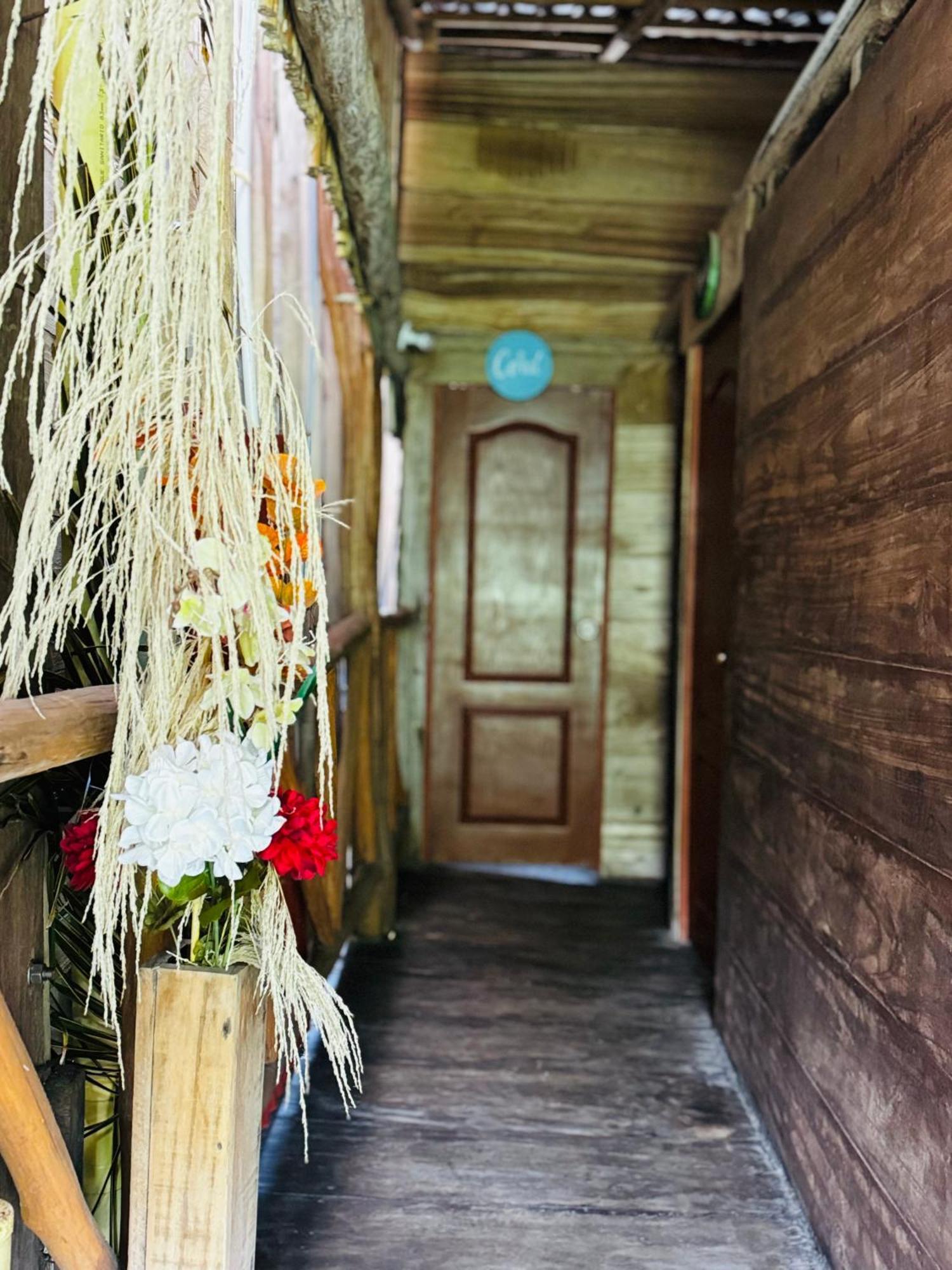 Palmario Hostal Guachaca エクステリア 写真